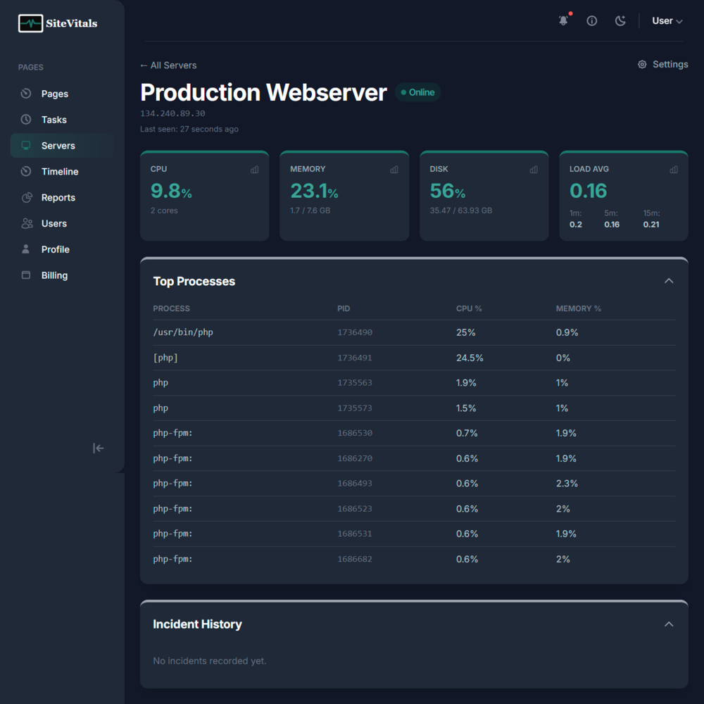 Screenshot showing server dashboard