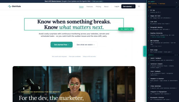 Screenshot of the SiteVitals Firefox Extension